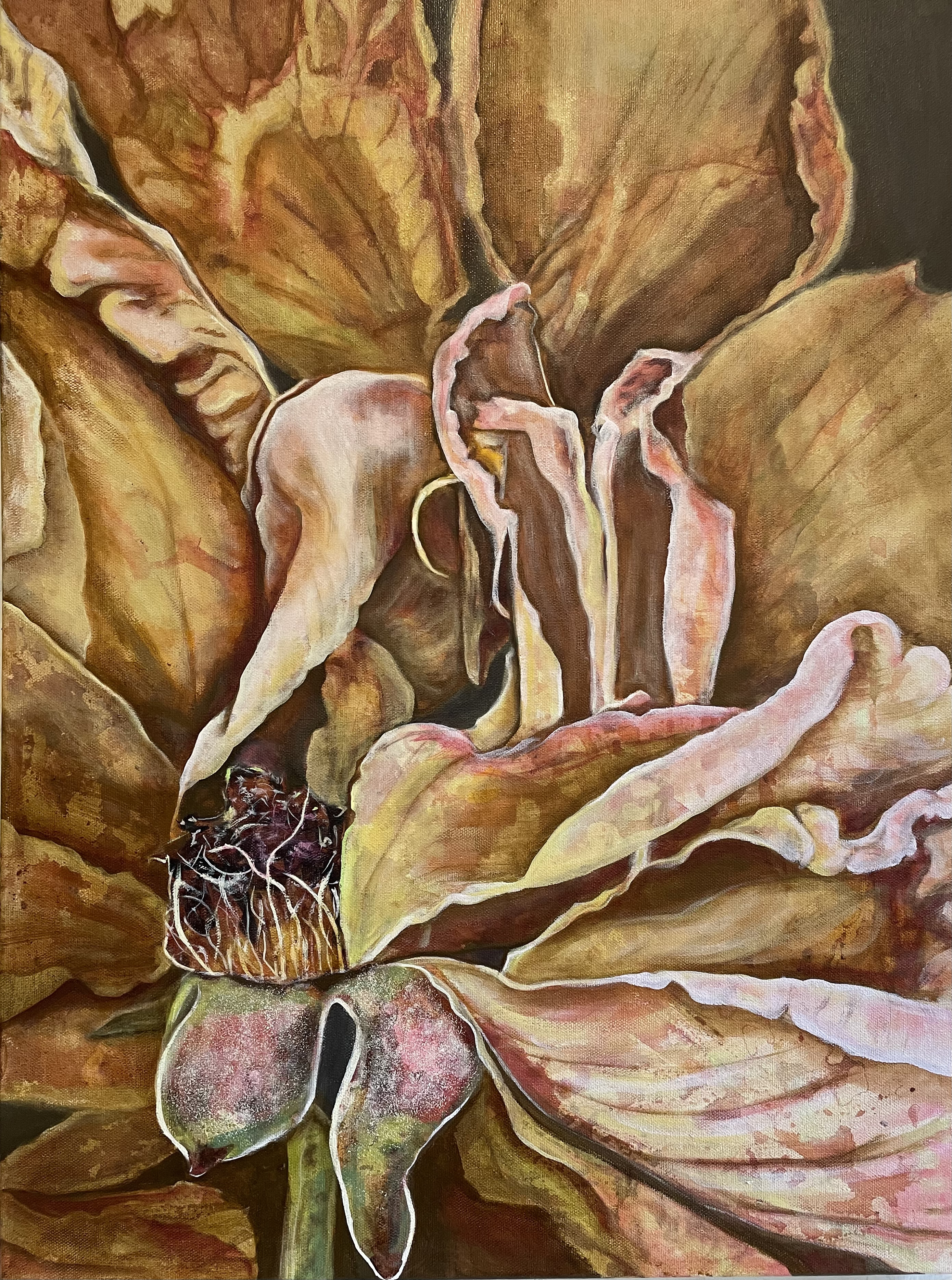 Unraveling — What the Body Keeps